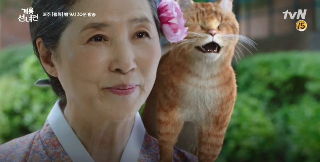 계룡선녀전 네이버 영상 캡처