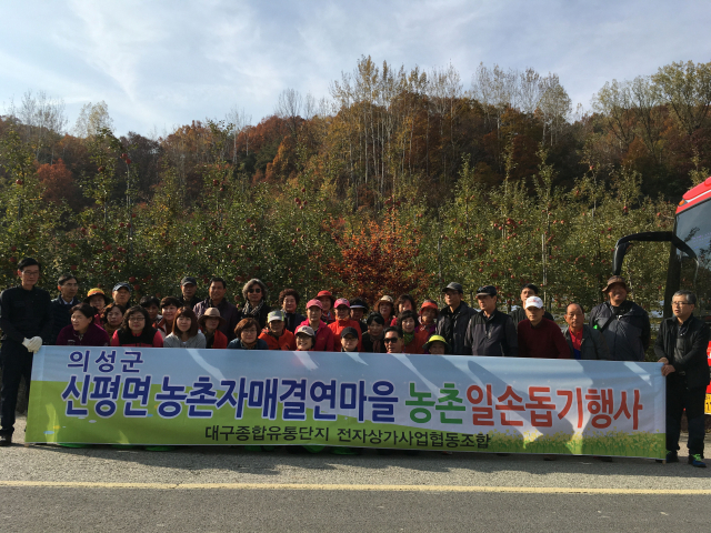 대구종합유통단지 전자상가조합 농촌 일손 돕기