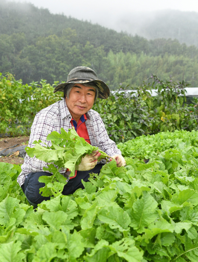공영구 시인은 2016년부터 경산시 남천면에서 아로니아 나무 등 과일과 야채를 기르며 시를 쓰고 있다. 공영구 시인 제공