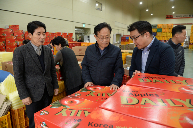 엄태항(가운데) 봉화군수가 대만으로 수출되는 사과들을 살펴보고 있다. 봉화군 제공