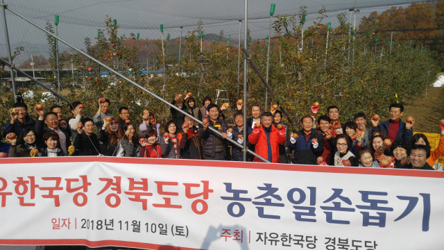 장석춘 자유한국당 경북도당 도당위원장은 10일 도당위원장 취임식을 대신해 구미지역 과수 농가를 방문해 도당 당직자들과 함께 사과따기 봉사활동을 했다. 한국당 경북도당 제공