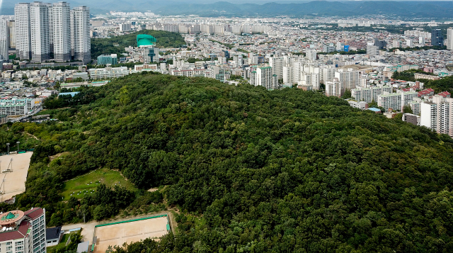 대구 수성구민운동장 상공에서 북쪽으로 바라본 범어공원. 매일신문DB