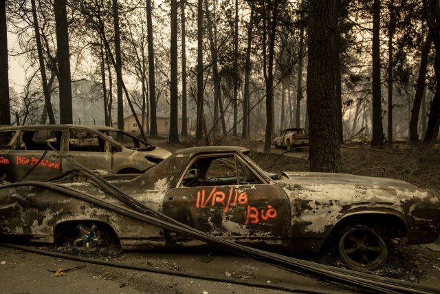 Following the Camp Fire, scorched cars line Pearson Road, Monday, Nov. 12, 2018, in Paradise, Calif. (AP Photo/Noah Berger). 美 캘리포니아 산불