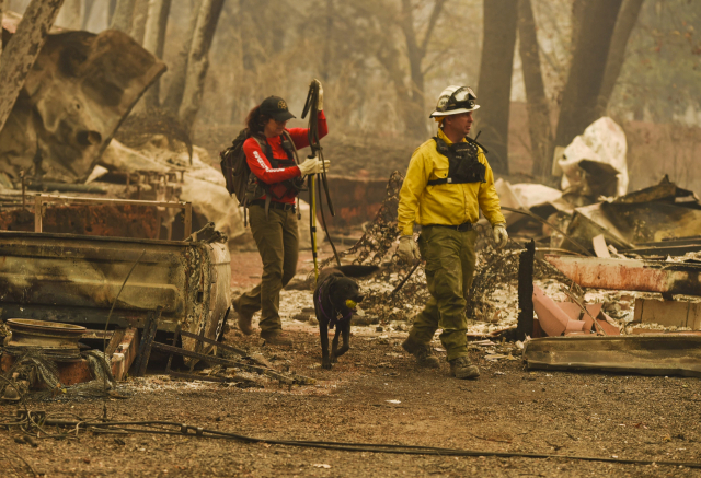 Butte County Search and Rescue worker Noelle Francis, left, and search dog Spinner look through the ashes for survivors and remains after a wildfire ravaged the area, at Skyway Villa Mobile Home and RV Park in Paradise, Calif., Monday, Nov. 12, 2018. (Hector Amezcua/The Sacramento Bee via AP). 美 캘리포니아 산불