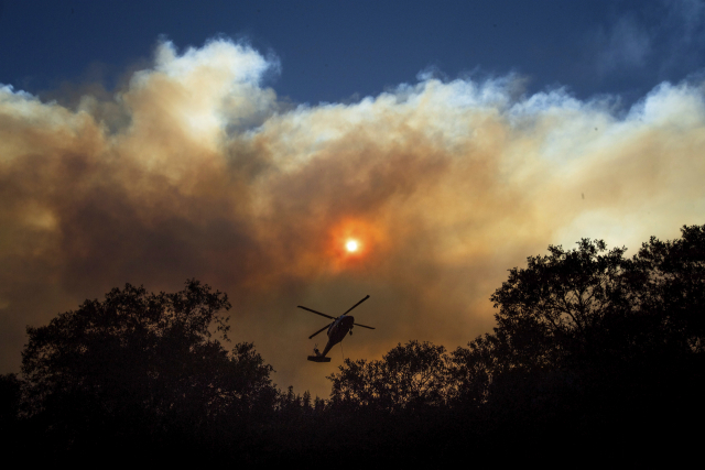 Smoke billows from the Camp Fire as a firefighting helicopter flies near Pulga, Calif., on Sunday, Nov. 11, 2018. (AP Photo/Noah Berger) 美 캘리포니아 산불