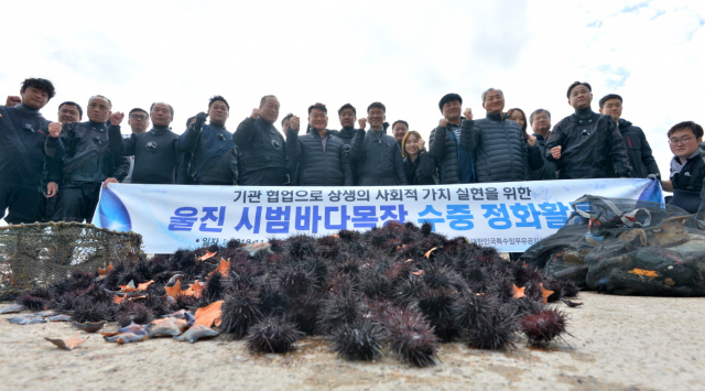수중정화활동