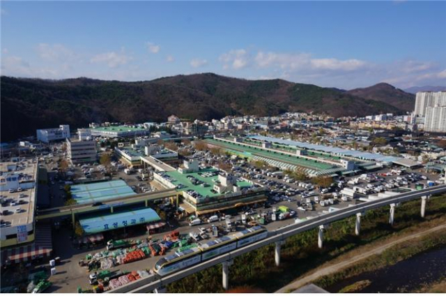 대구농산물도매시장 전경.대구시 제공