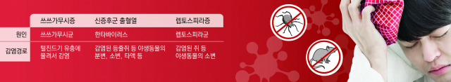 권기태 칠곡경북대병원 교수(알레르기감염내과)