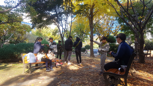지난 10일 대구 수성구 대구시교육청 앞에서 가족들이 함께 포켓몬 잡기에 열중하고 있다. 이주형 기자