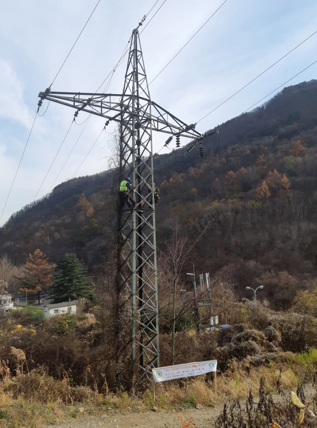 1988년 소백산국립공원에 설치됐던 송전철탑. 소백산 생태복원을 위해 내년 3월까지 철거된다. 철도시설공단 제공