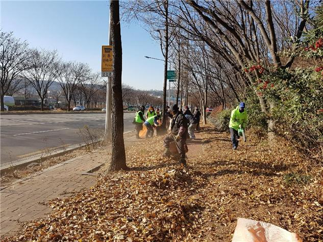 낙엽 수거 모습. 대구시 제공