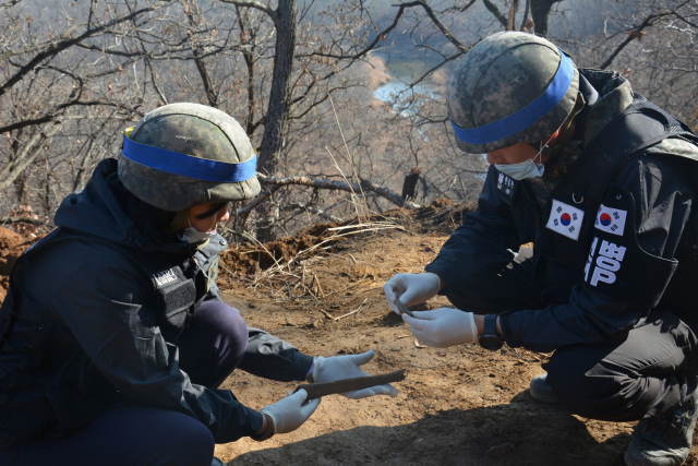 남북 공동유해발굴을 위한 지뢰 제거 작업이 진행 중인 강원도 철원 비무장지대(DMZ) 내 화살머리고지에서 6·25전쟁 전사자 유해 5구가 추가로 발견됐다. 국방부 유해발굴감식단은 19일 이같이 밝히고 