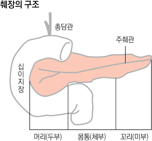 김국현 영남대병원 소화기내과 교수