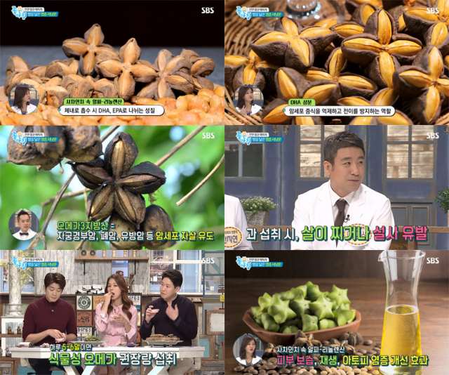 사차인치. SBS 
