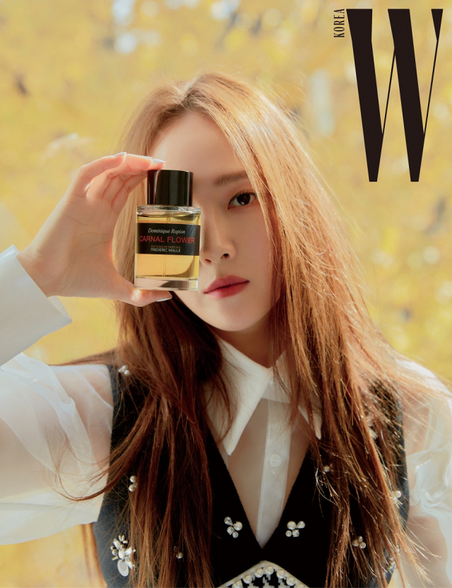 사진.더블유 코리아
