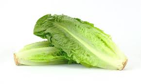로메인 상추(Romaine lettuce). 해외 온라인 커뮤니티