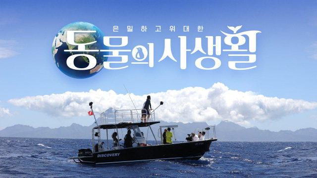 사진= KBS 2TV 
