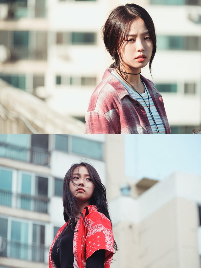 사진. tvN
