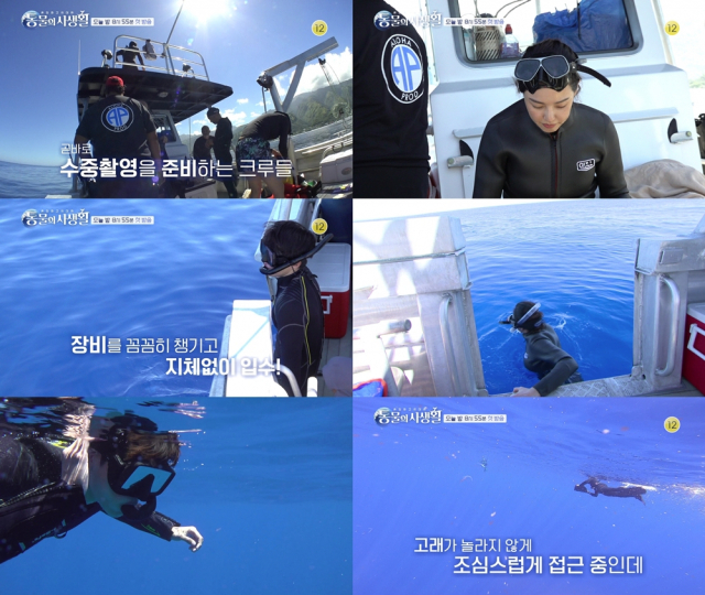 사진= KBS 2TV 