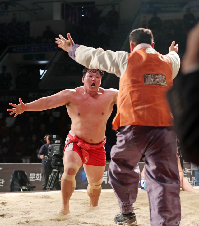 26일 경북 안동체육관에서 열린 2018 천하장사 씨름대축제에서 천하장사에 오른 박정석(구미시청)이 환호하고 있다. 연합뉴스