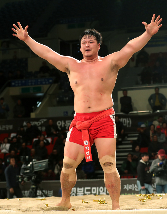 26일 경북 안동체육관에서 열린 2018 천하장사 씨름대축제에서 천하장사에 오른 박정석(구미시청)이 환호하고 있다. 연합뉴스
