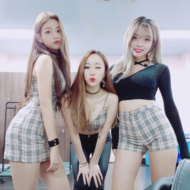 사진. 담엔터테인먼트