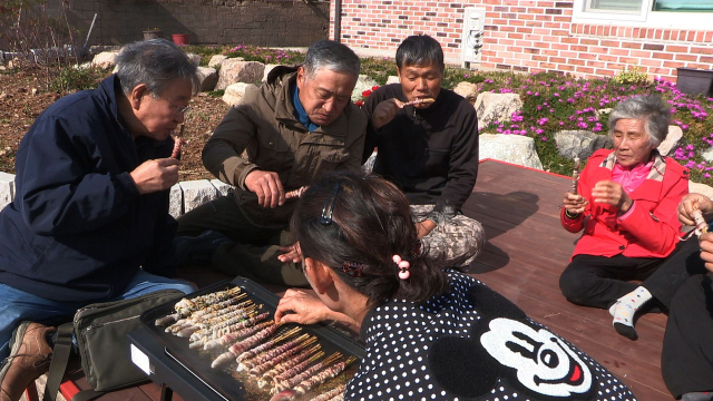 KBS1 한국인의 밥상