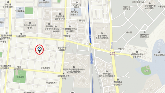 천안이봉원짬뽕집 위치는? 천안 두정동 