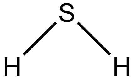황화수소 화학식. H2S.