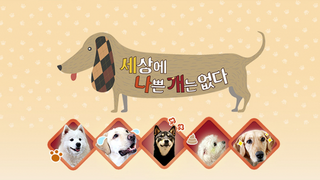EBS1 세상에 나쁜 개는 없다.