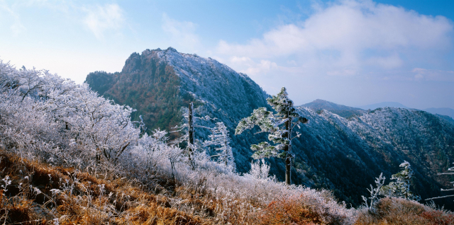 늦가을 지리산 천왕봉. 강병규 작=백두대간 수목원 제공