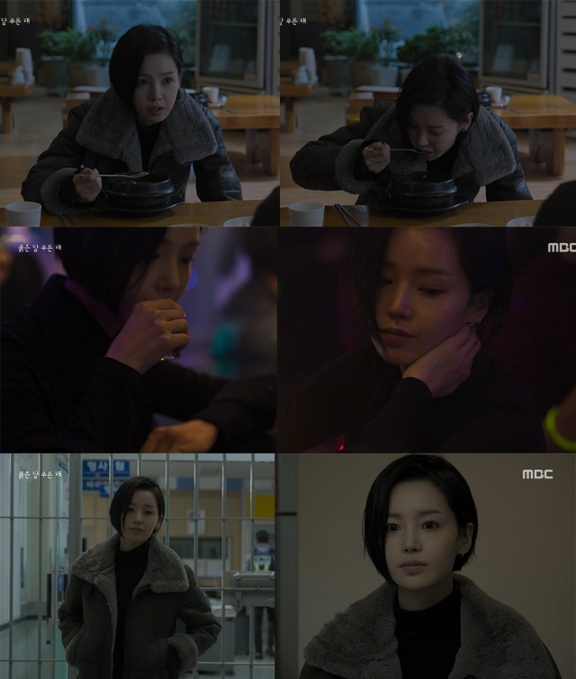 사진. 