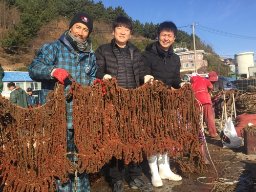 경북도 수산자원연구소 관계자들이 영덕멍게양식협회와 공동으로 자체 생산에 성공한 멍게 종자를 들어 보이고 있다. 경북도 제공