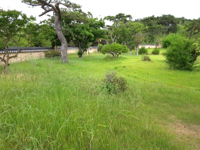 시래동 밭
