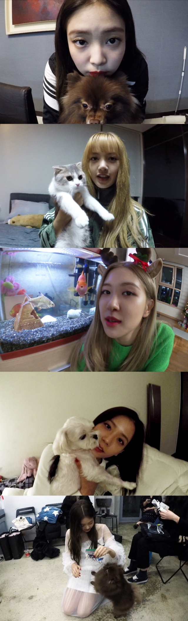 SBS 가로채널