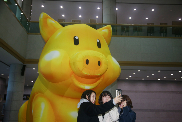 26일 경북 포항시 남구 대도동에 있는 포항문화예술회관에 설치된 황금돼지 조형물 앞에서 시민이 사진을 찍고 있다. 이 황금돼지 조형물은 포항 호미곶에서 열리는