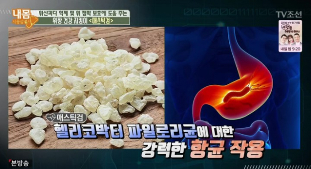 위암 예방에 좋은 천연 건강식품으로 