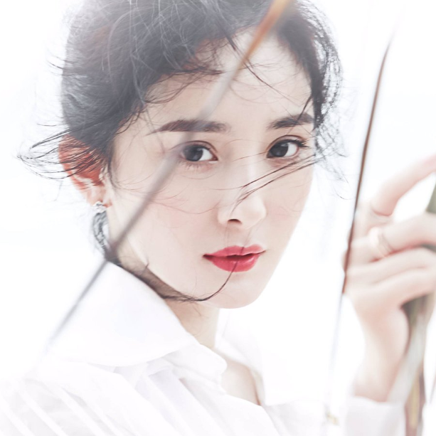 중국 배우 양미. 해외 온라인 커뮤니티