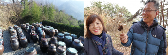 EBS1 한국기행