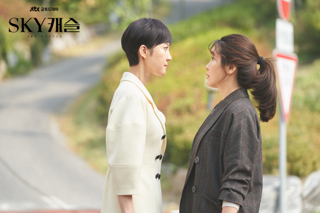 스카이 캐슬에서 한서진(염정아 분)이 이수임(이태란 분)에게 