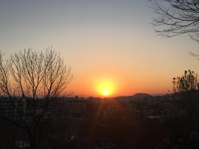 1일 2019년 기해년의 첫 일출(해돋이) 사진이 SNS에 올라오고 있다. 네티즌들은 SNS를 통해 