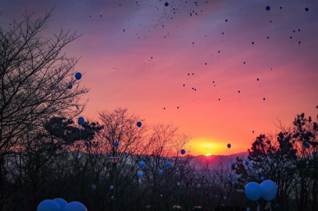 1일 2019년 기해년의 첫 일출(해돋이) 사진이 SNS에 올라오고 있다. 네티즌들은 SNS를 통해 