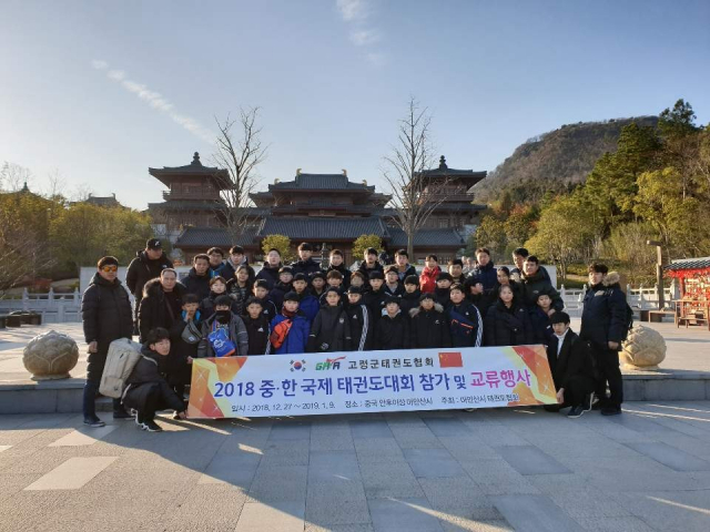 고령군태권도협회 5개국 태권도대회 겨루기부문 우승