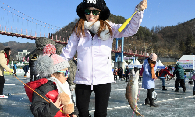 6일 강원 화천군 화천천에서 열린 산천어축제장을 찾은 외국 관광객이 산천어를 낚아 올리고 있다. 연합뉴스