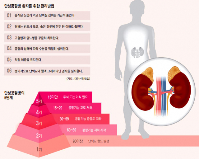 만성콩팥병의 5단계