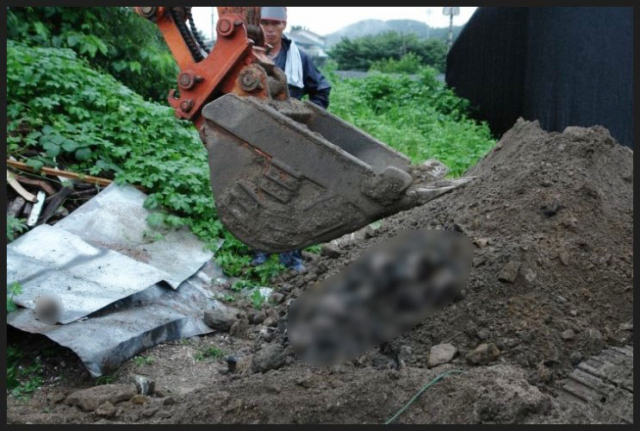 구조한 동물을 몰래 안락사시킨 사실이 드러나 논란을 빚는 