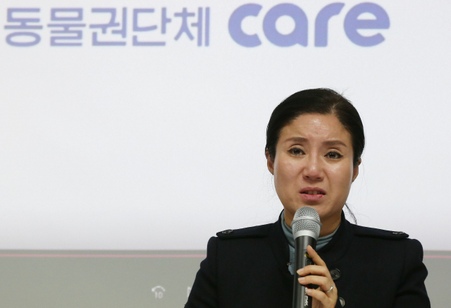 구조동물 안락사 논란을 빚은 동물권단체