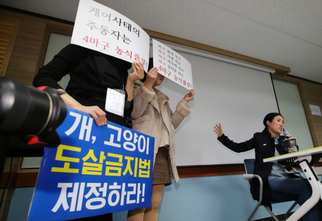 구조동물 안락사 논란을 빚은 동물권단체