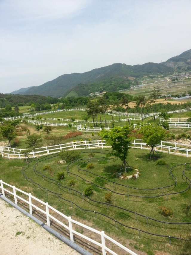 장수 승마체험장. 장수군