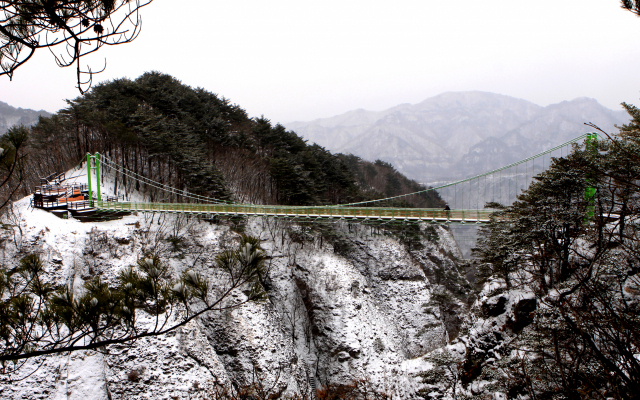 청량산 선학봉과 자란봉을 잇는 하늘다리. 청량산 등반에 빼놓을 수 없는 코스다. 봉화군 제공
